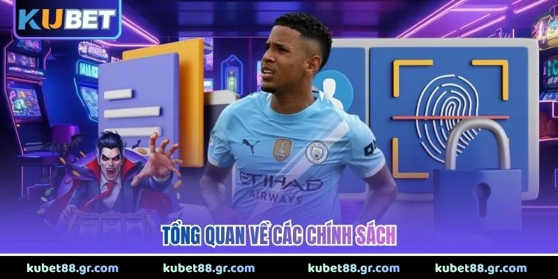 Tổng quan về các chính sách