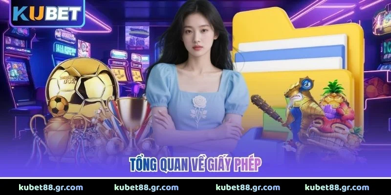 Tổng quan về giấy phép