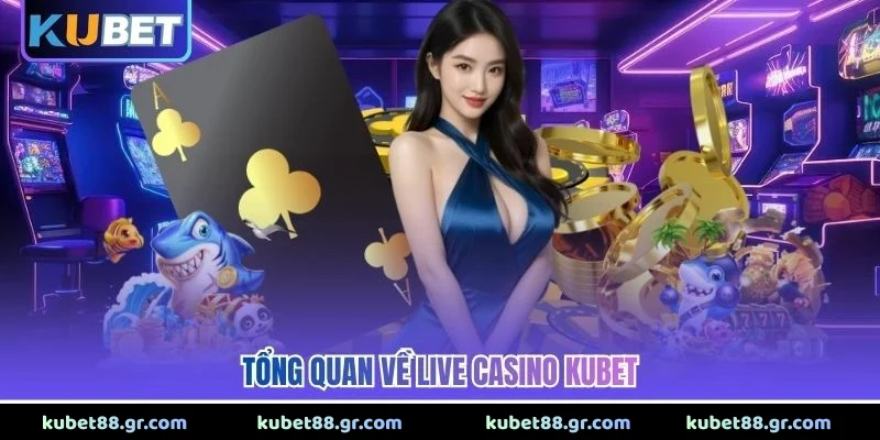 Tổng quan về live casino KUBET